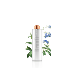 گلدان آپارتمانی دراسنا کامپکت - تصویر 4